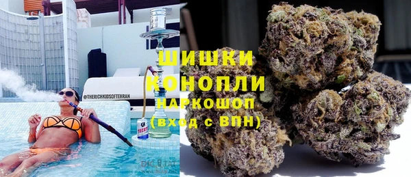 шишки Алзамай