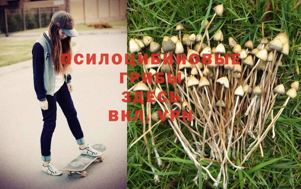 кокаин VHQ Алексеевка