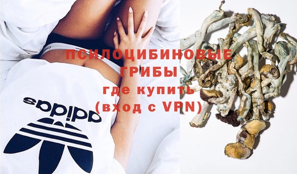 ALPHA PVP Алексин